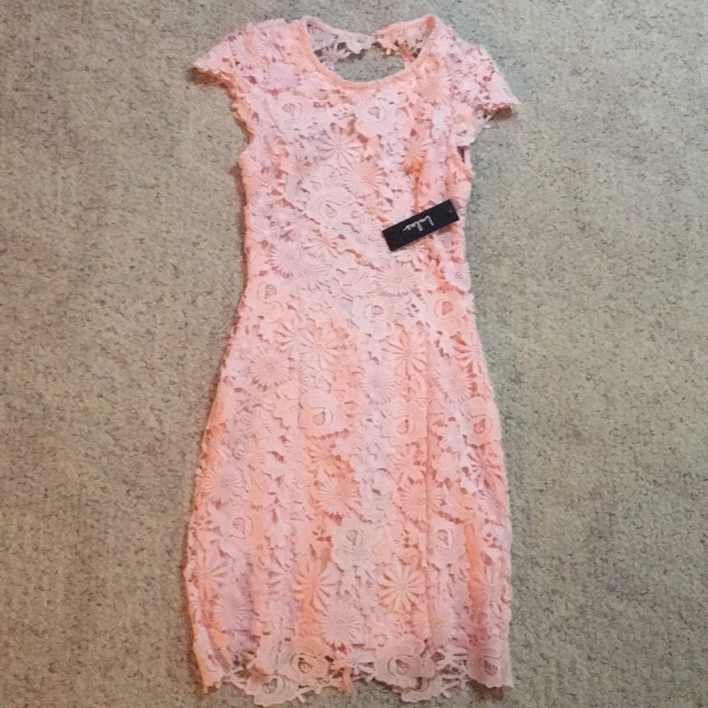 Blush Lace Dress